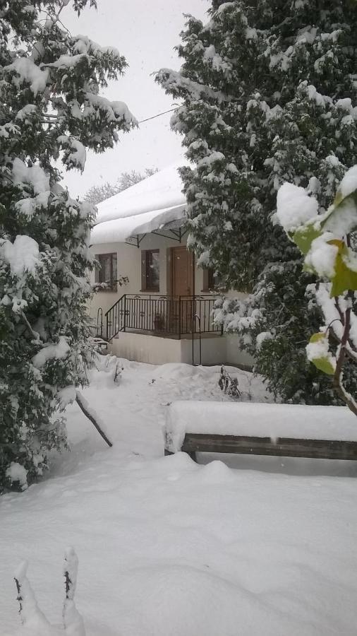 הוילה Tîrgu Ocna Casa Livada Bunicii מראה חיצוני תמונה