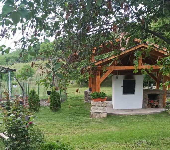 הוילה Tîrgu Ocna Casa Livada Bunicii מראה חיצוני תמונה