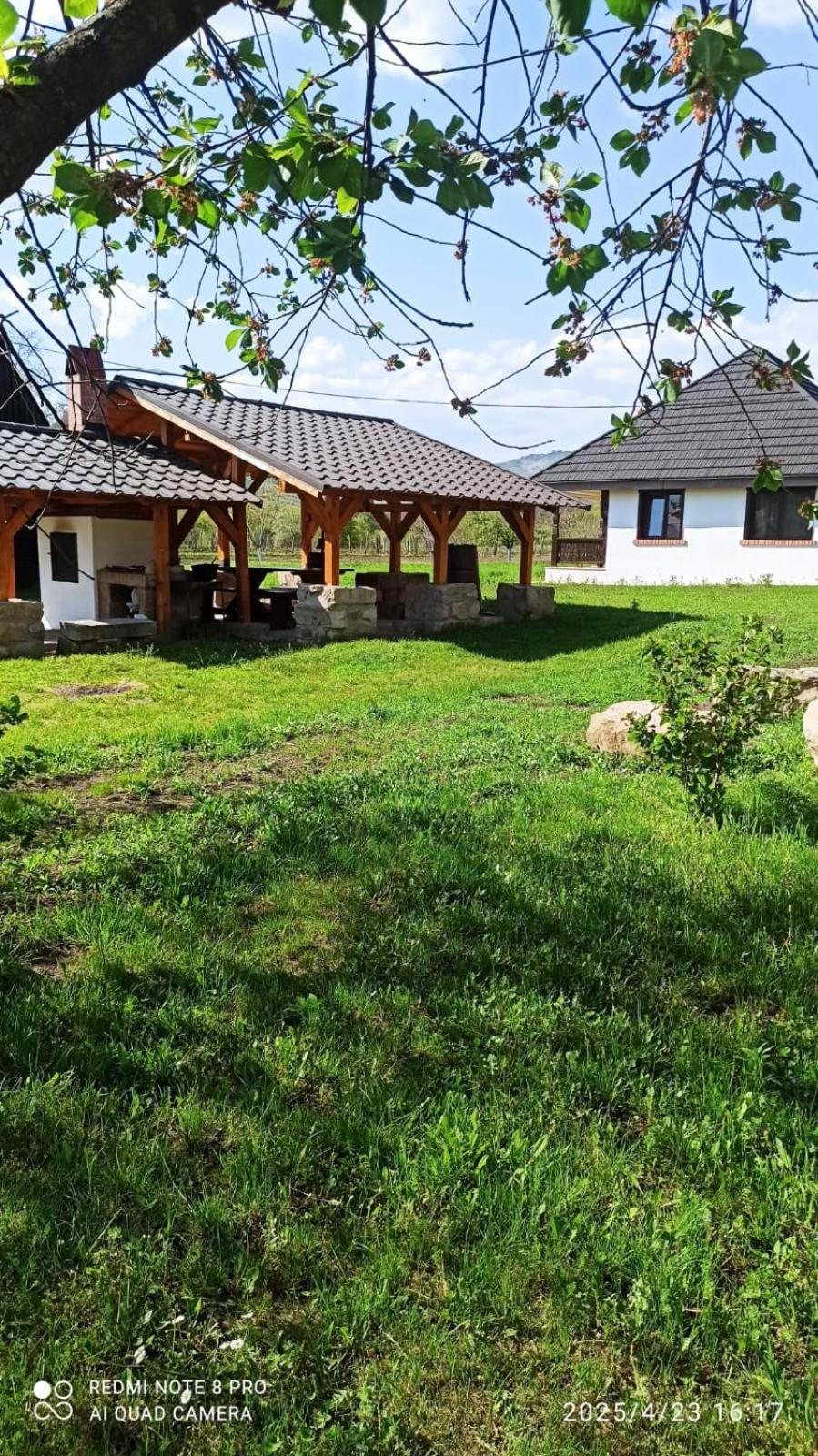 הוילה Tîrgu Ocna Casa Livada Bunicii מראה חיצוני תמונה